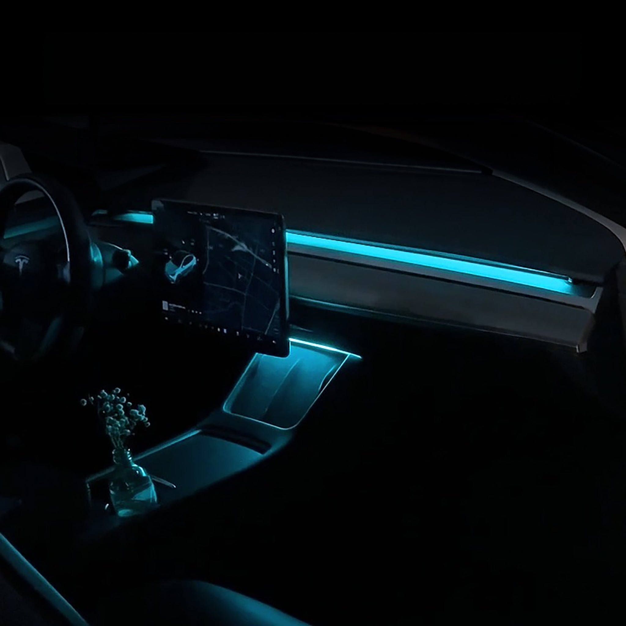 Neon Ambient LED Lighting For Tesla Model Y/3